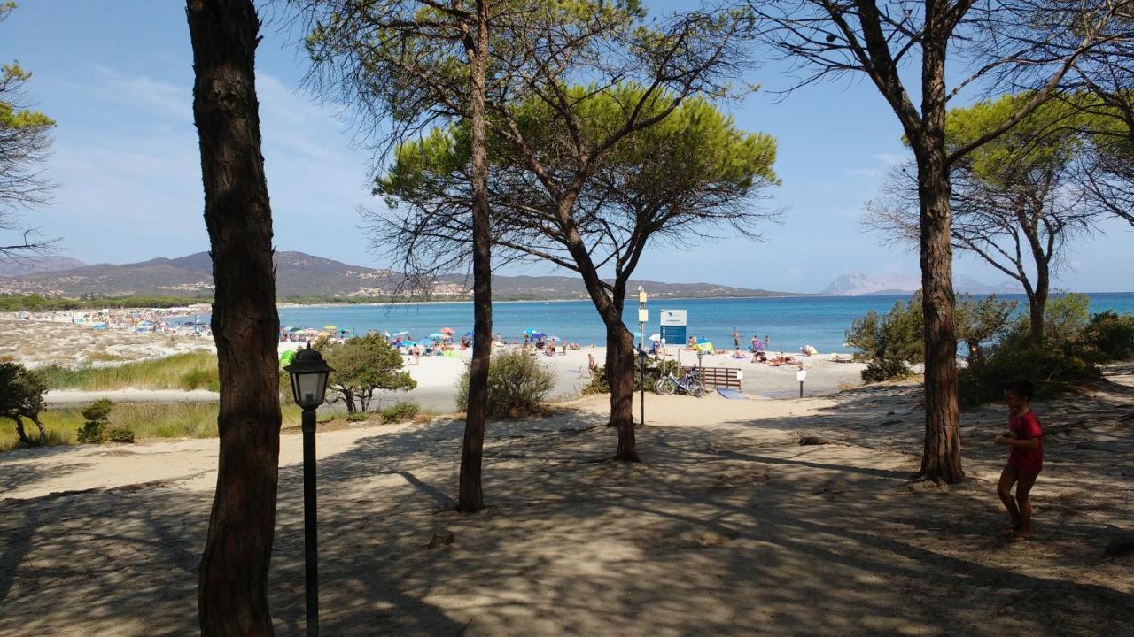 Apartment I Mandorli Budoni